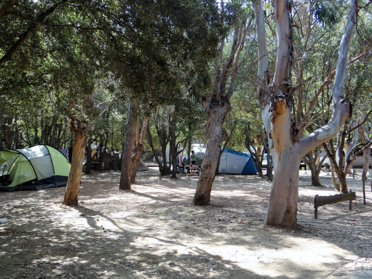 A Stella Korsika - Farinole visuel 2/4