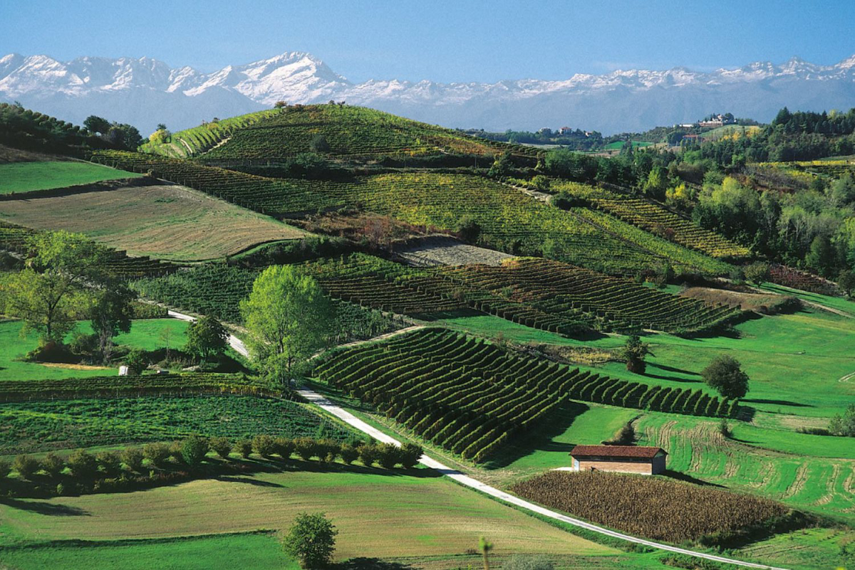 Alba Village Piemont - Alba visuel 8/9