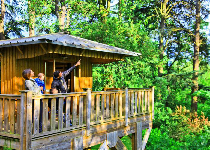 Albirondack Park Lodge & Spa Midi-Pyrénées - Albi visuel 4/15 Albirondack Park Lodge & Spa Midi-Pyrénées - Albi visuel 4/15