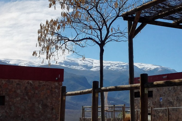 Almócita Andalusien - Almocita visuel 2/5