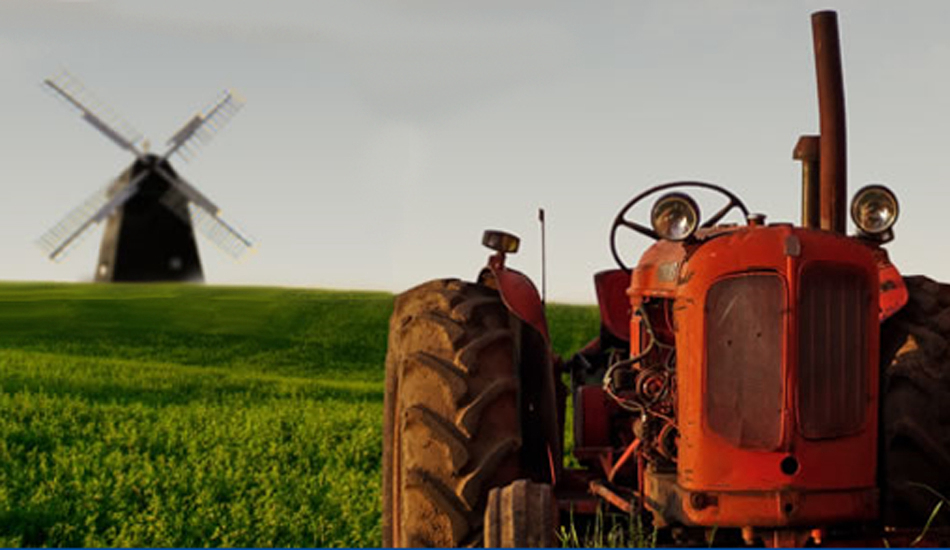 Am See Mecklenburg-Vorpommern - alt schwerin visuel 3/3