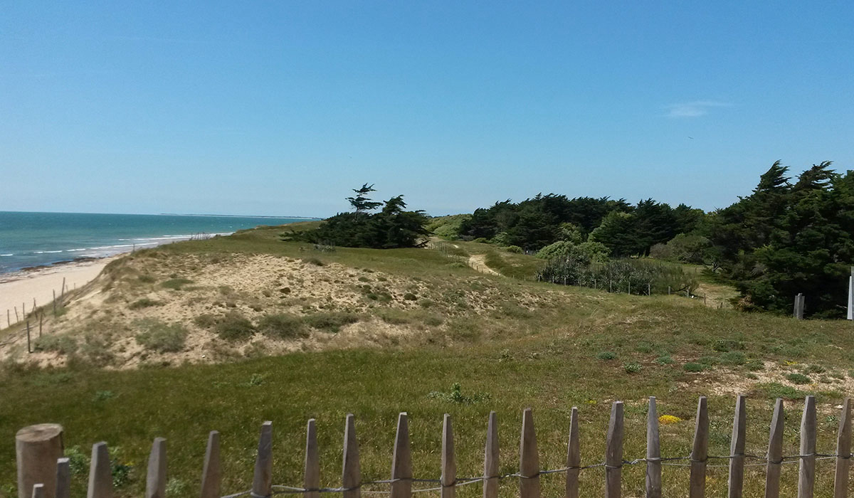 Antioche Poitou-Charentes - Le Bois-Plage-en-Ré visuel 15/22