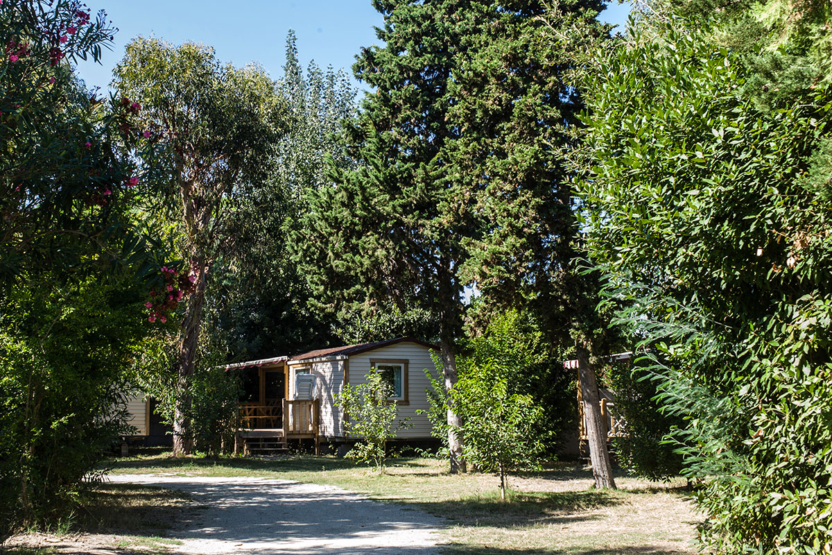 Arinella Bianca Korsika - Ghisonaccia visuel 14/17