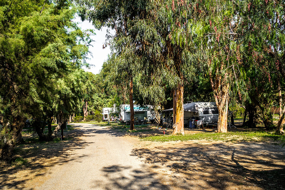 Arinella Bianca Korsika - Ghisonaccia visuel 17/17