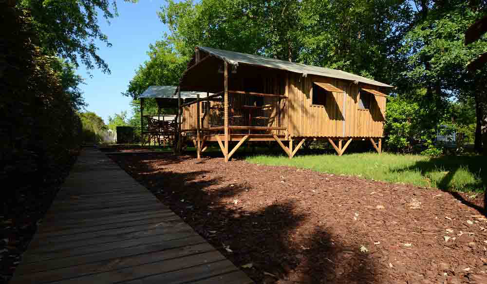 Aux Couleurs du Ferret Aquitanien - Lège Cap Ferret visuel 3/7