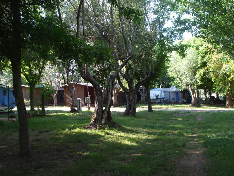 Azzurro Toskana - Bracciano visuel 6/11