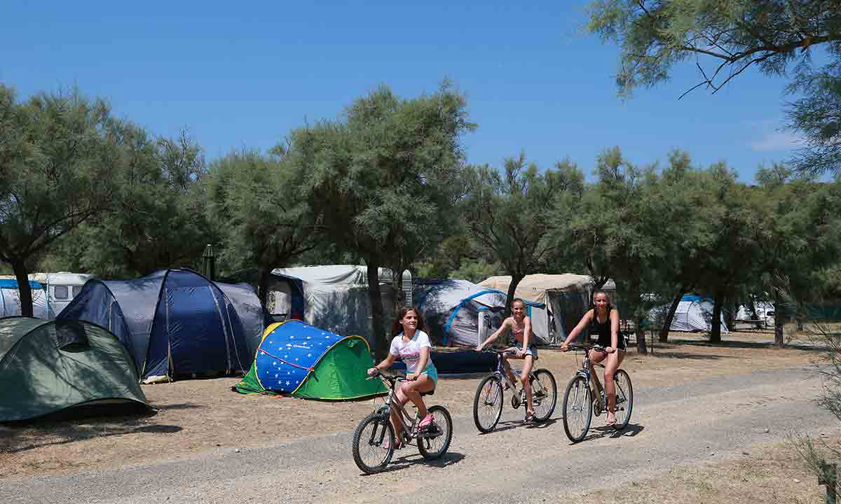 Barberousse Languedoc-Roussillon - Gruissan visuel 10/12 Barberousse Languedoc-Roussillon - Gruissan visuel 10/12