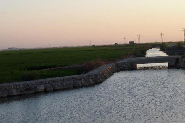 Barraquetes Valencia Gemeinschaft - Sueca visuel 4/4 Barraquetes Valencia Gemeinschaft - Sueca visuel 4/4