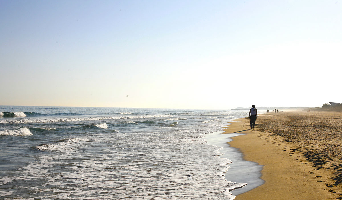 Beauregard Plage Languedoc-Roussillon - Marseillan visuel 2/8 Beauregard Plage Languedoc-Roussillon - Marseillan visuel 2/8