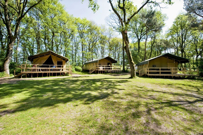 Beerze Bulten Overijssel - Beerze visuel 6/6 Beerze Bulten Overijssel - Beerze visuel 6/6