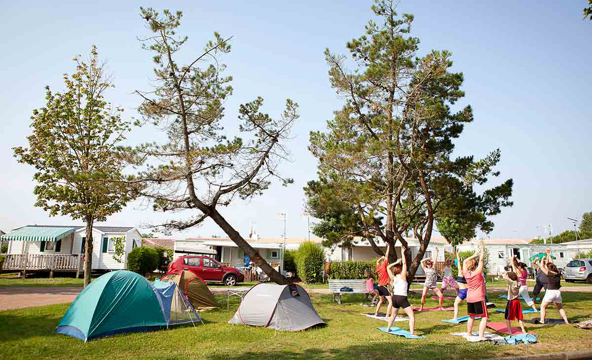 Bel Air Das Loire-Gebiet - L'Aiguillon-sur-Mer visuel 9/19 Bel Air Das Loire-Gebiet - L'Aiguillon-sur-Mer visuel 9/19