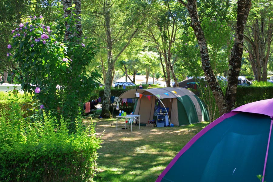 Bel Ombrage Aquitanien - Saint-Cybranet visuel 3/8 Bel Ombrage Aquitanien - Saint-Cybranet visuel 3/8