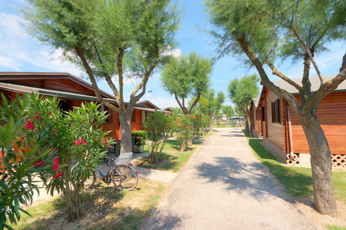 Bellamare Schritte - Porto Recanati visuel 3/3