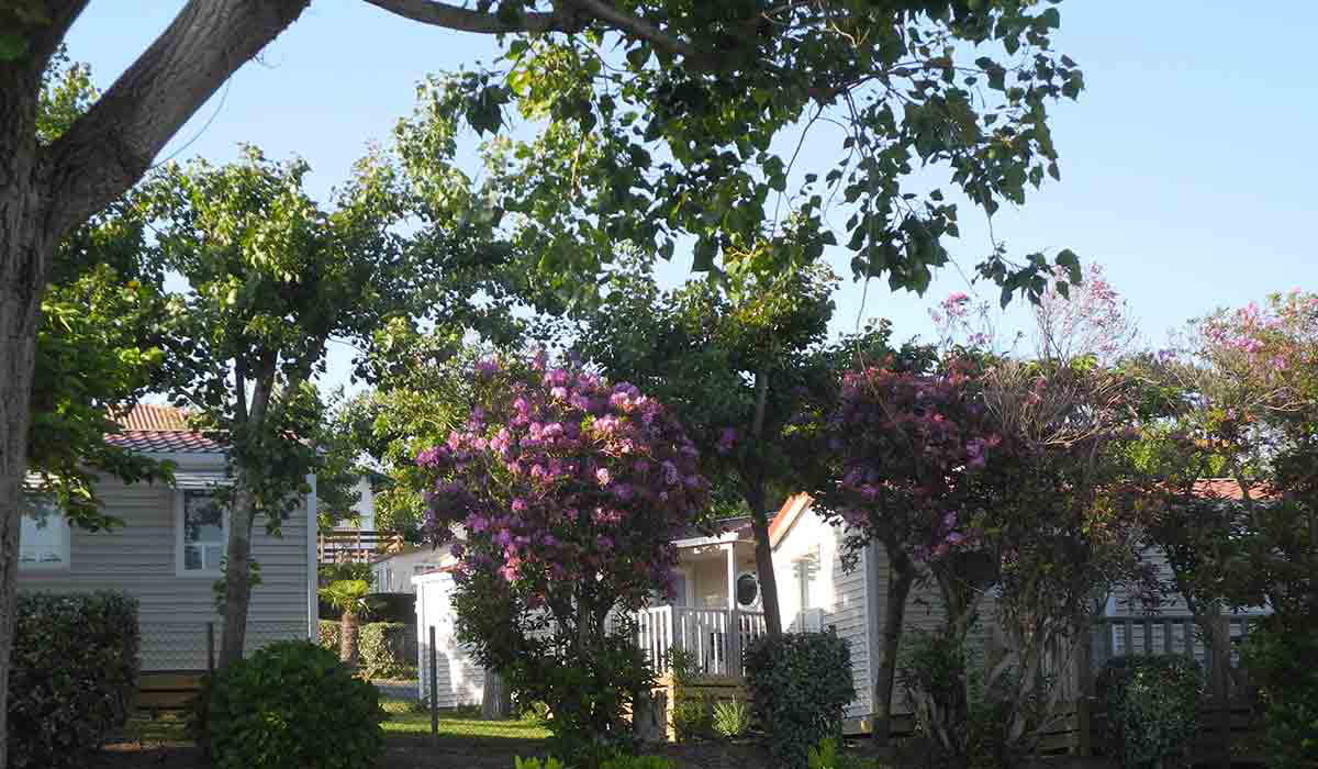 Biarritz Camping Aquitanien - Biarritz visuel 2/10