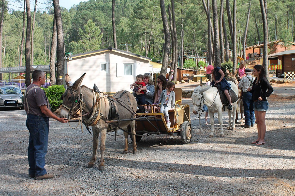 Bois Simonet Rhône-Alpen - Joyeuse visuel 7/23 Bois Simonet Rhône-Alpen - Joyeuse visuel 7/23