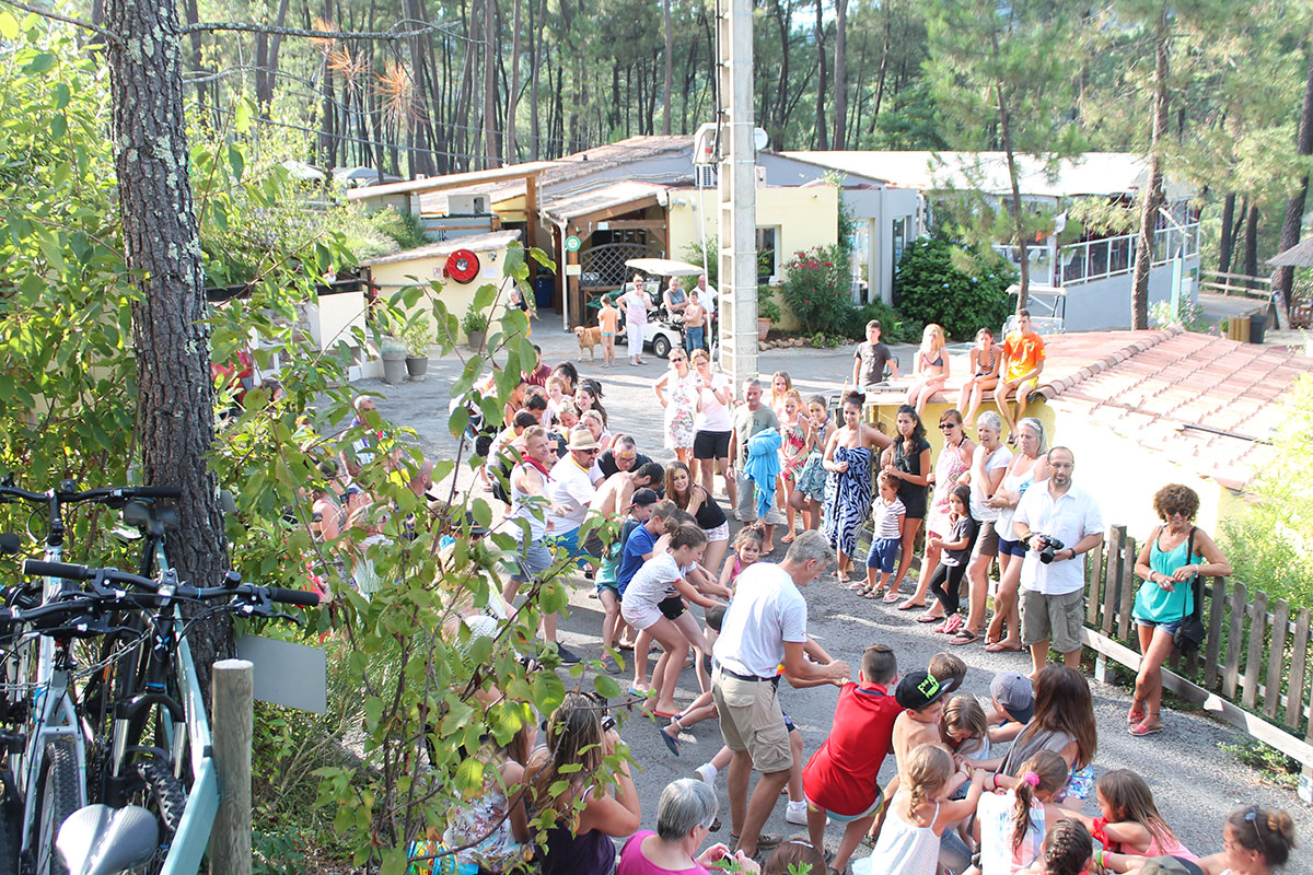 Bois Simonet Rhône-Alpen - Joyeuse visuel 12/23 Bois Simonet Rhône-Alpen - Joyeuse visuel 12/23