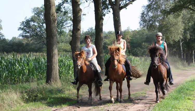 Borken am See Nordrhein-Westfalen - borken visuel 5/6 Borken am See Nordrhein-Westfalen - borken visuel 5/6