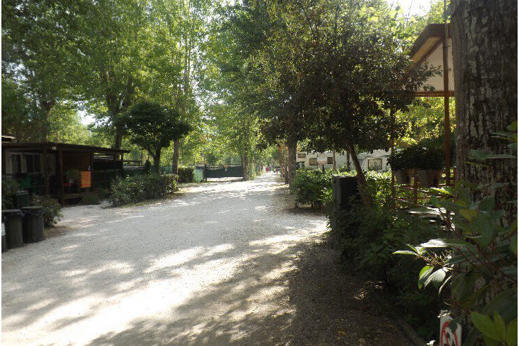 Bosco Verde Toskana - Torre del Lago Puccini visuel 2/11 Bosco Verde Toskana - Torre del Lago Puccini visuel 2/11