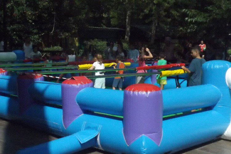 Bosco Verde Toskana - Torre del Lago Puccini visuel 3/11 Bosco Verde Toskana - Torre del Lago Puccini visuel 3/11