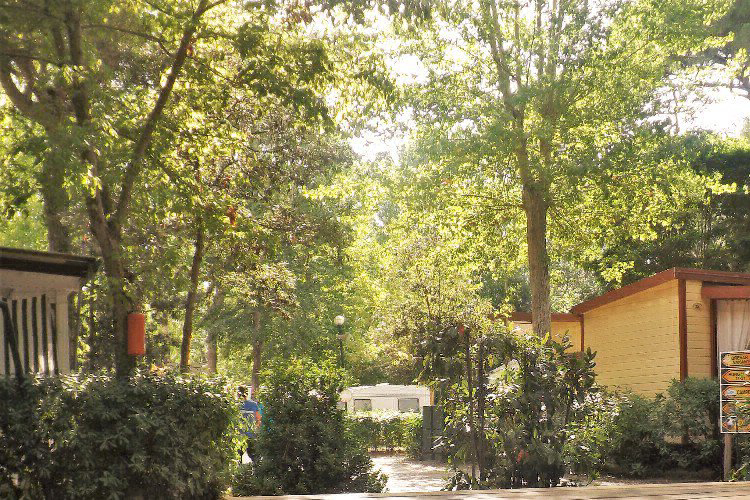 Bosco Verde Toskana - Torre del Lago Puccini visuel 8/11 Bosco Verde Toskana - Torre del Lago Puccini visuel 8/11