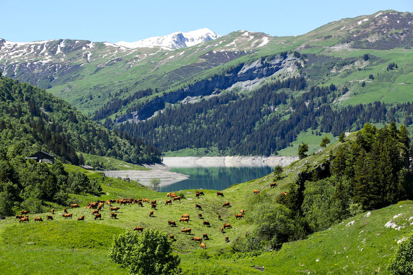 Bourg Saint Maurice Rhône-Alpen - Bourg-Saint-Maurice visuel 1/1 Bourg Saint Maurice Rhône-Alpen - Bourg-Saint-Maurice visuel 1/1