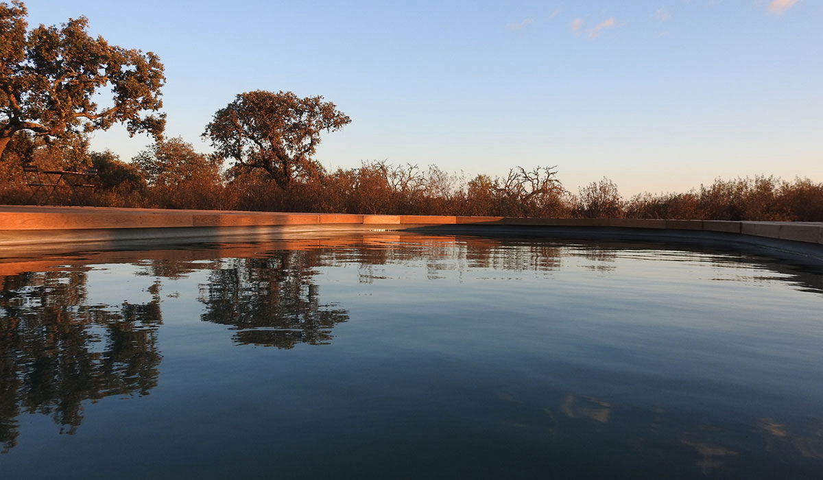 Bubulcus & Bolotas Alentejo - Arraiolos visuel 2/4