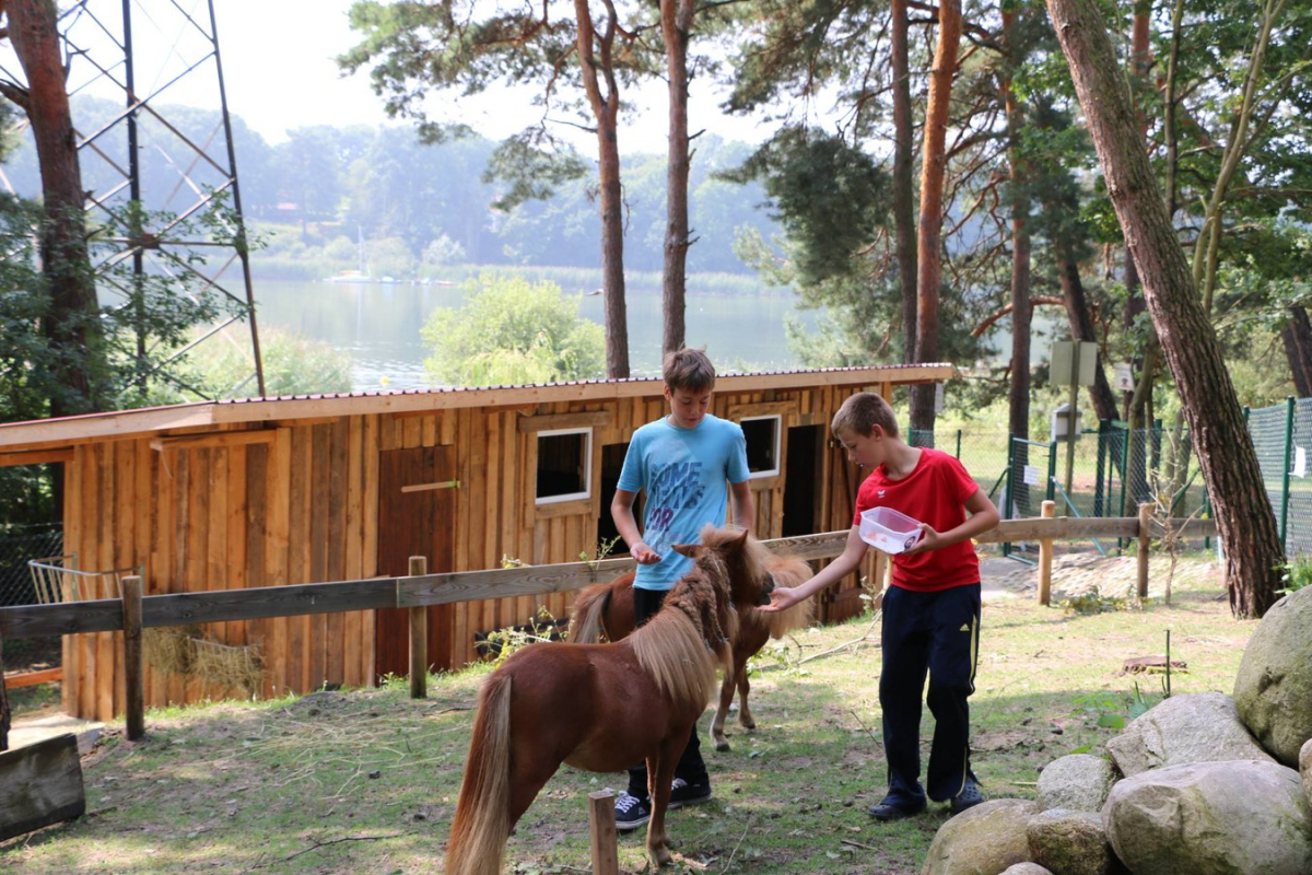 Buntspecht Brandenburg - null visuel 2/3