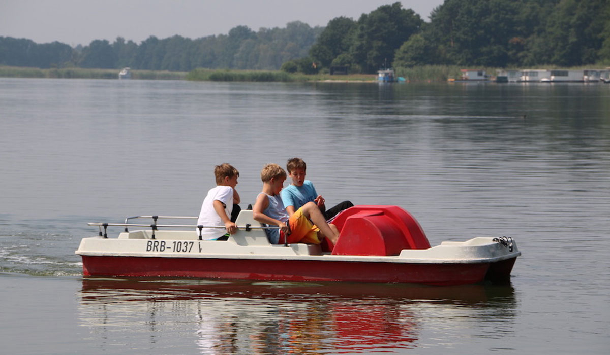 Buntspecht Brandenburg - null visuel 1/3