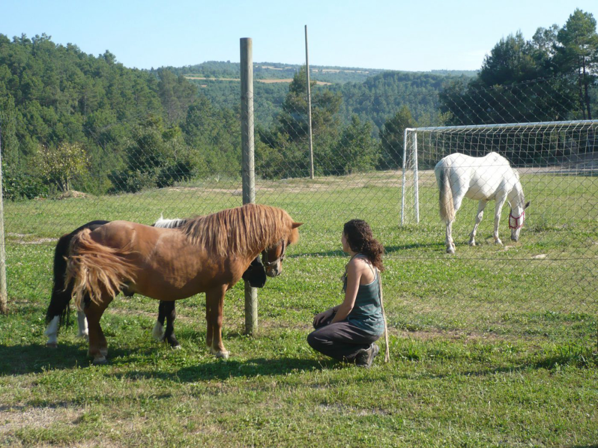 Cal Paradís Katalonien - salo visuel 3/3 Cal Paradís Katalonien - salo visuel 3/3
