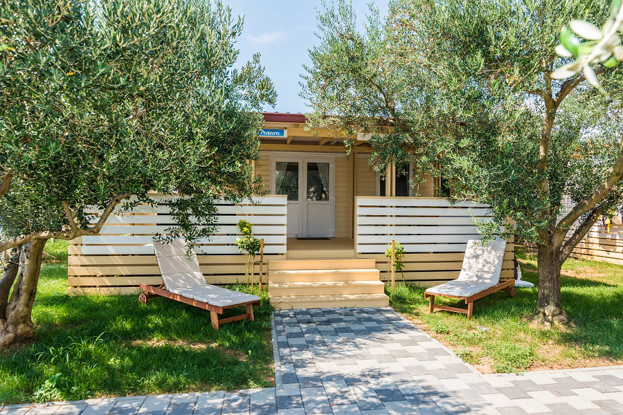 Bepo Dalmatien - Pakostane visuel 3/4