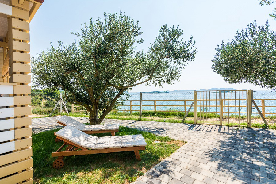 Bepo Dalmatien - Pakostane visuel 4/4