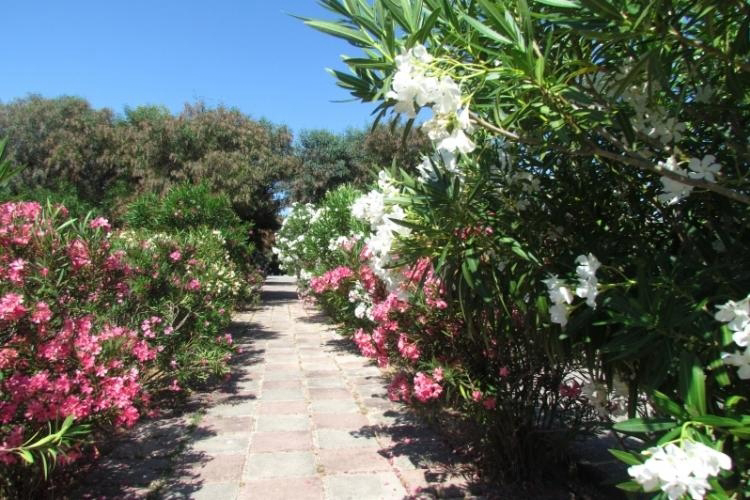 Camping Baia Paradiso Sardinien - Badesi visuel 2/3