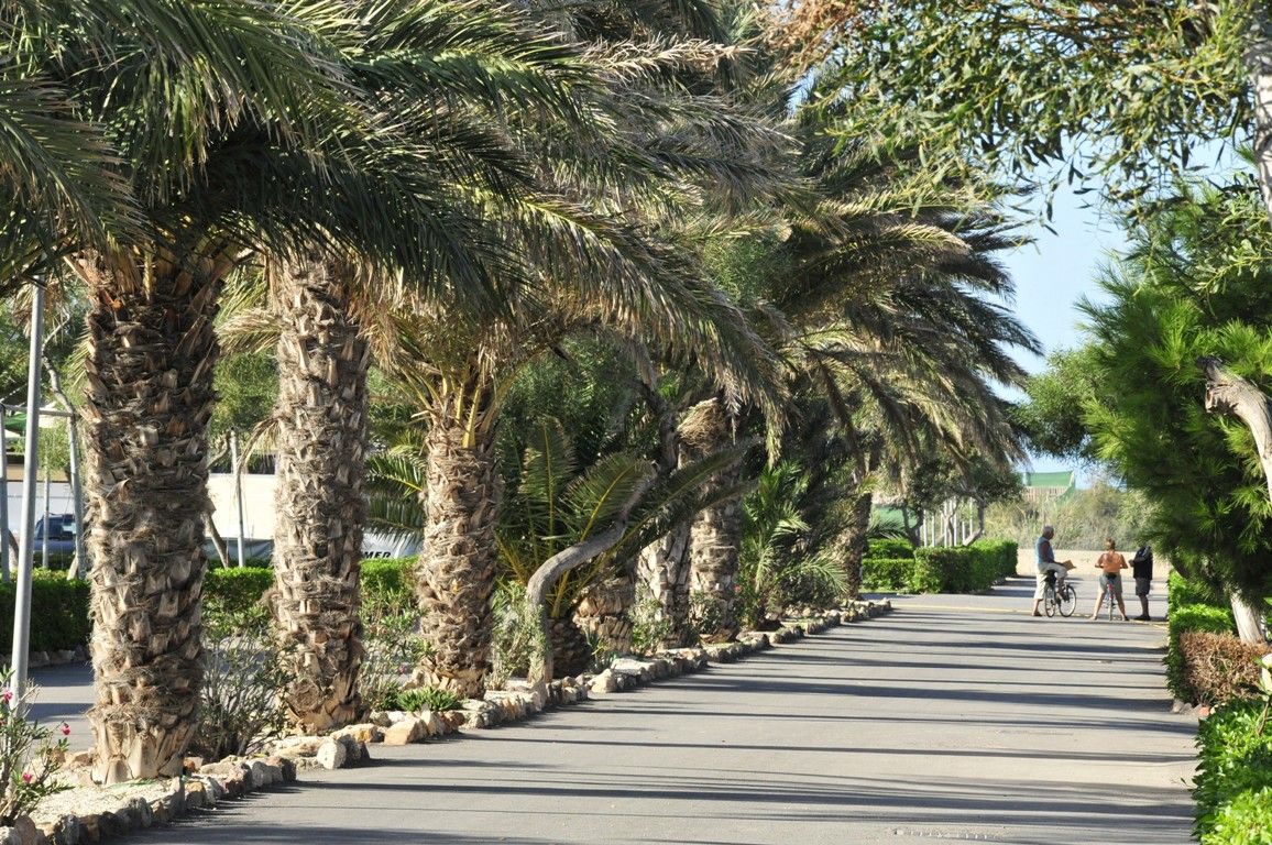 Camping Cabo de Gata Andalusien - Nijar visuel 8/11