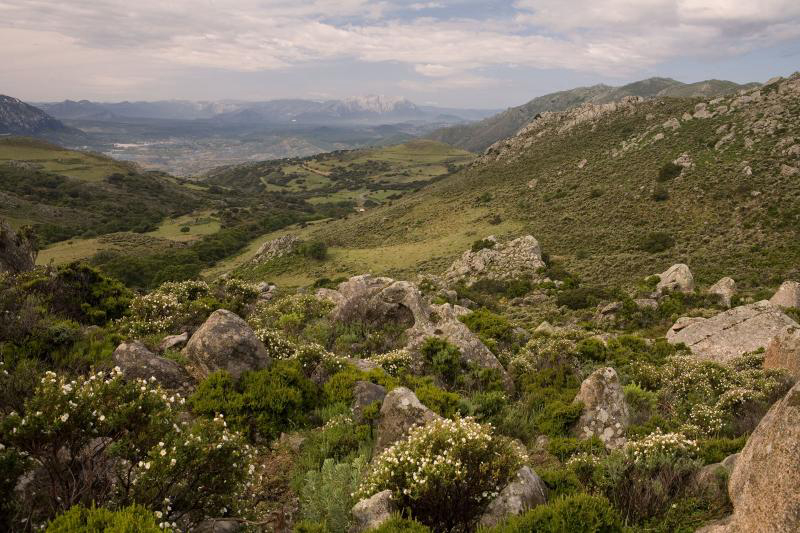 Camping Cala Ginepro Sardinien - Orosei visuel 2/3