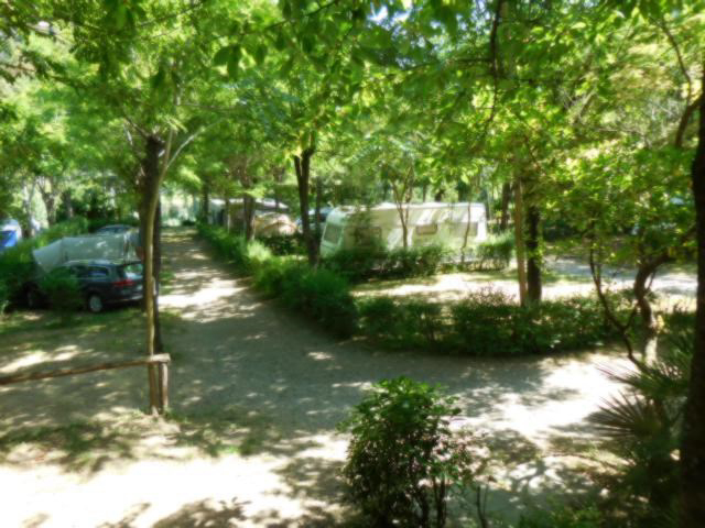 Camping Cinque Terre Ligurien - levanto visuel 3/3 Camping Cinque Terre Ligurien - levanto visuel 3/3