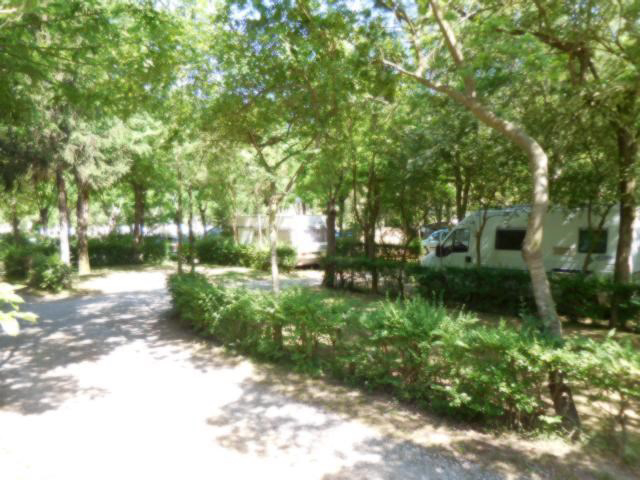 Camping Cinque Terre Ligurien - levanto visuel 2/3 Camping Cinque Terre Ligurien - levanto visuel 2/3