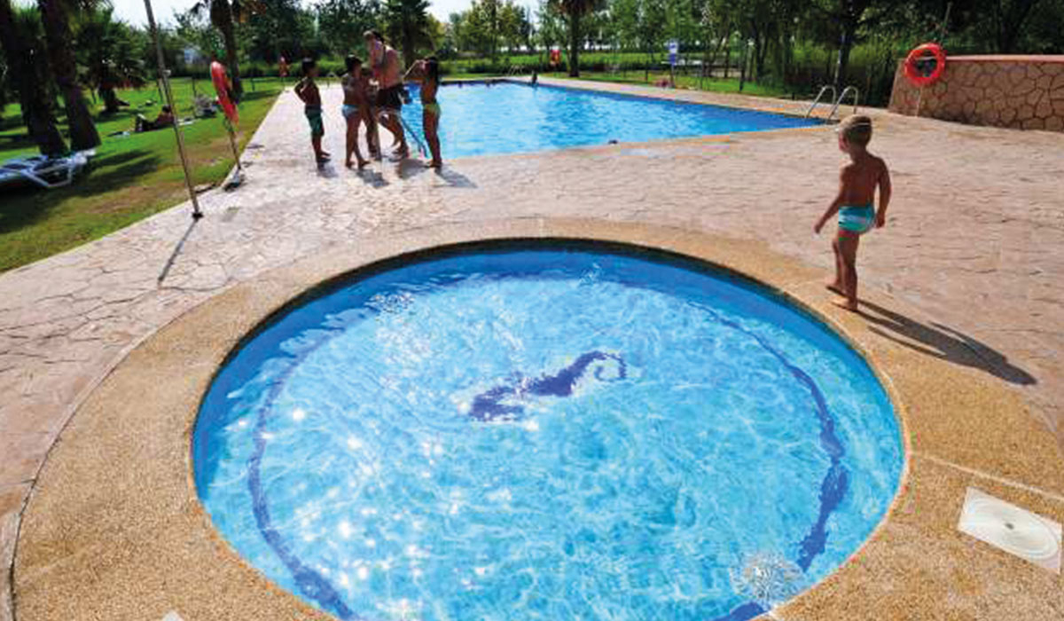 Eucaliptus Katalonien - Amposta visuel 2/3