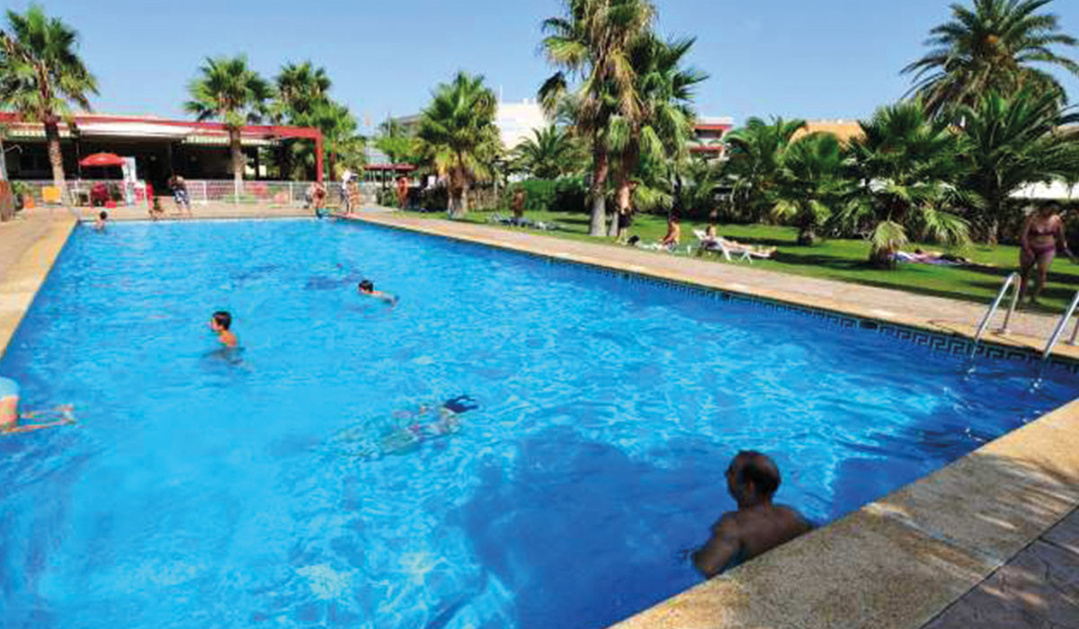 Eucaliptus Katalonien - Amposta visuel 1/3