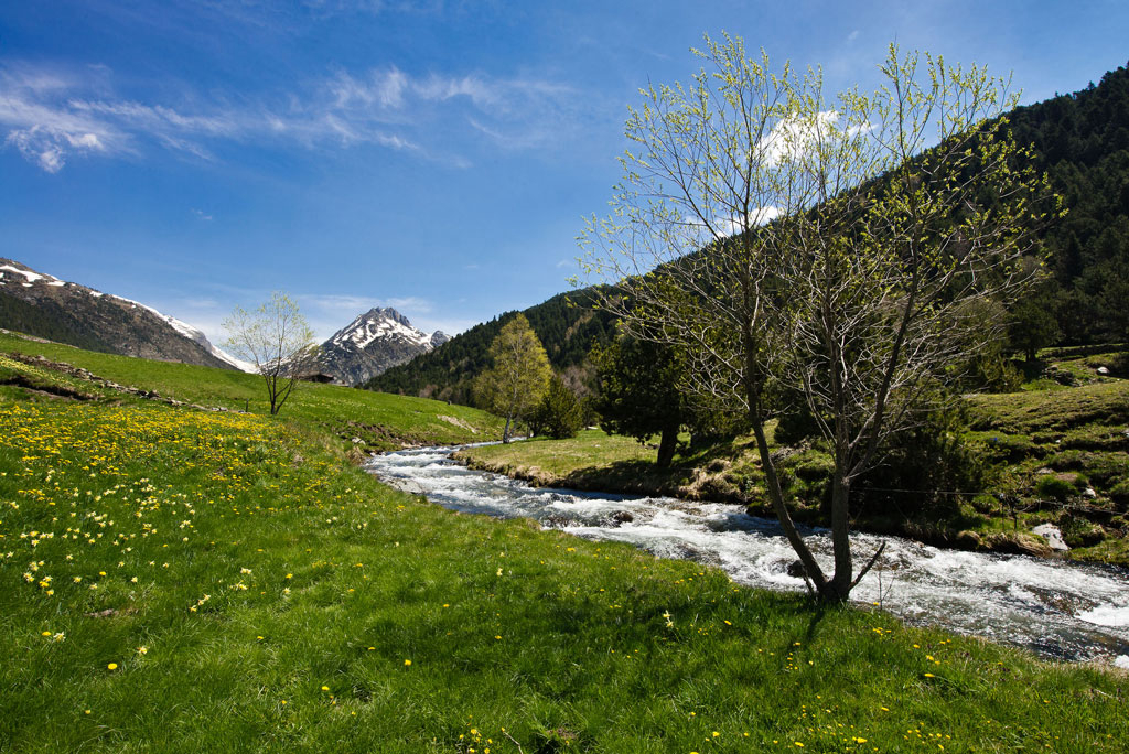 Camping Font de Ferrocins Midi-Pyrénées - Andorre visuel 1/3 Camping Font de Ferrocins Midi-Pyrénées - Andorre visuel 1/3