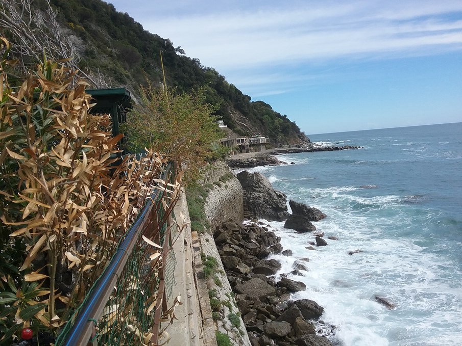 Camping Il Rospo Ligurien - Moneglia visuel 3/3 Camping Il Rospo Ligurien - Moneglia visuel 3/3