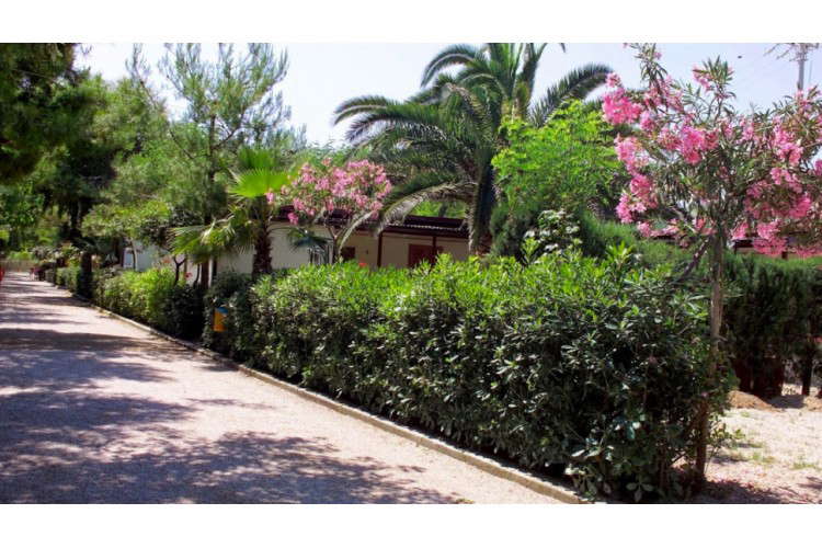 International Torre Cerrano Abruzzen - Pineto visuel 5/6