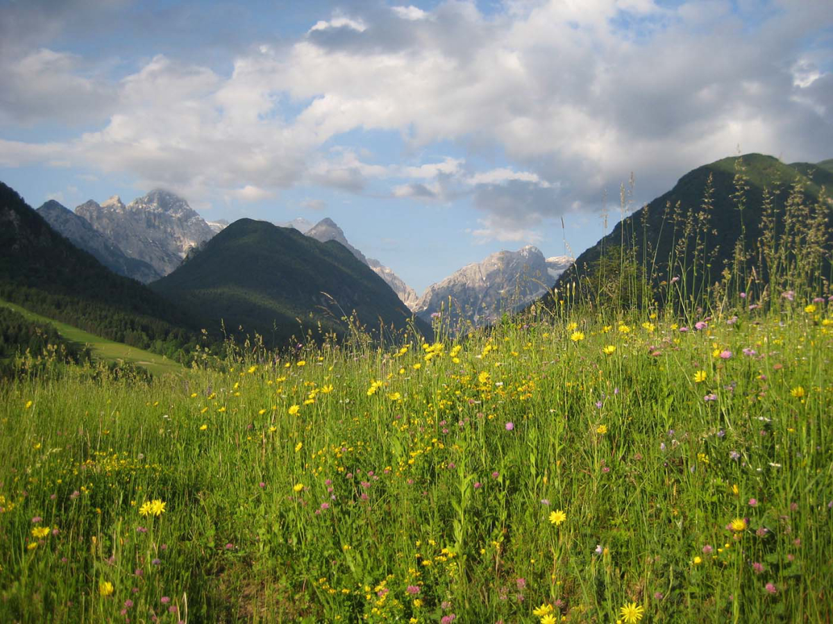 Camping Kamne Oberkrain - Mojstrana visuel 3/3