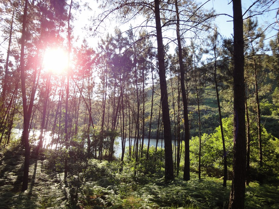 Camping Lima Escape Norte - Ponte da Barca visuel 4/5