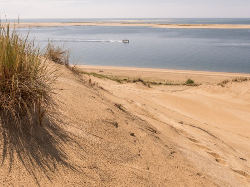 Camping Maurice Paloque Aquitanien - Gujan-Mestras visuel 3/4