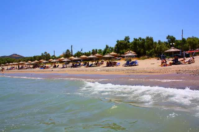 Camping Mithimna Grat - Drapanias visuel 4/16