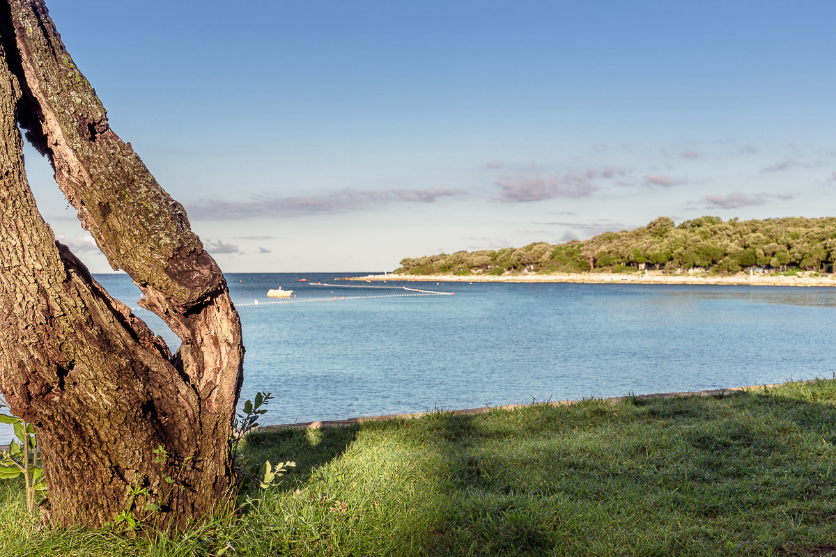 Mon Perin Istrien - Bale visuel 8/17