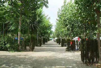 Camping Naturiste Almanat Andalusien - Torre del Mar visuel 3/3