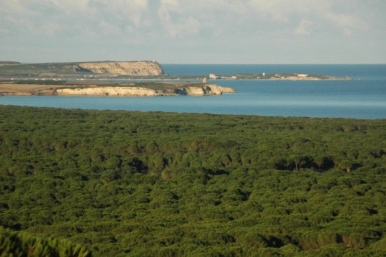 Camping Nurapolis Sardinien - Narbolia visuel 4/7