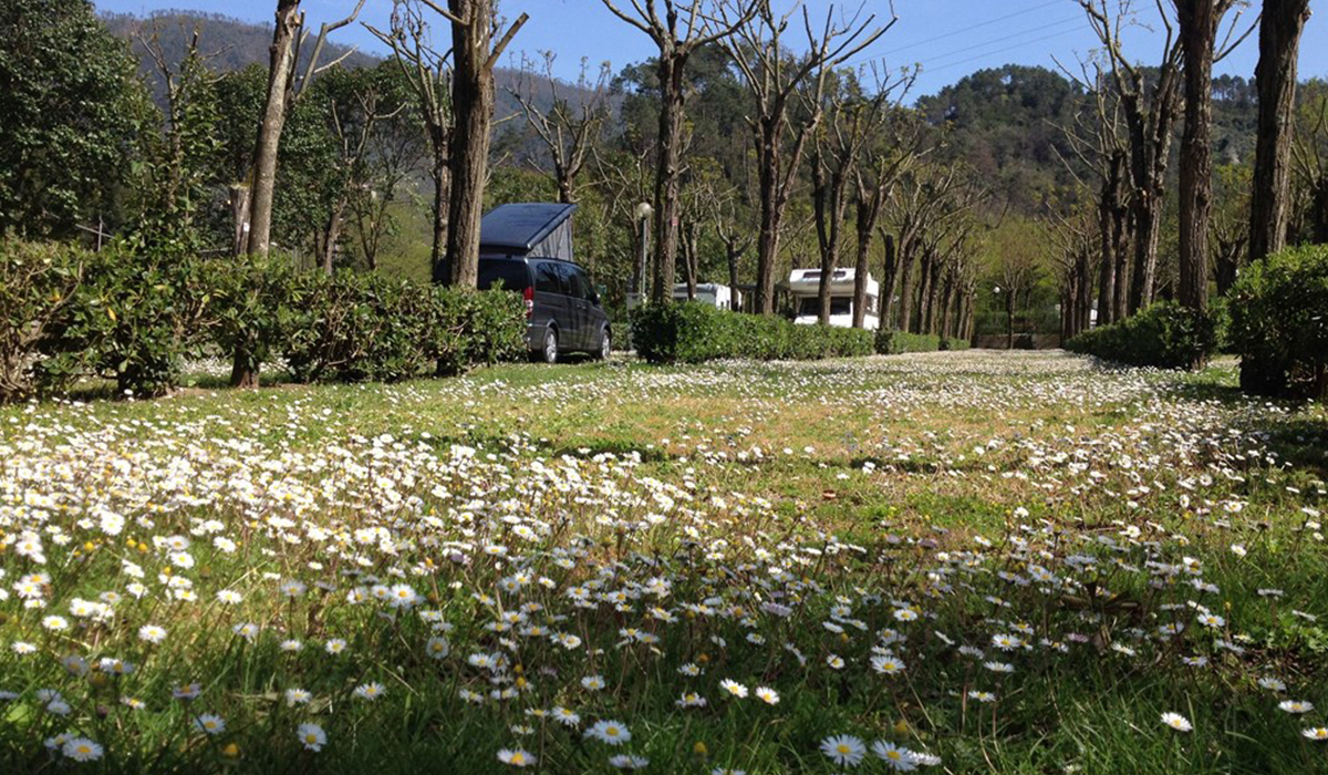 Camping Pian di Picche Ligurien - levanto visuel 1/3 Camping Pian di Picche Ligurien - levanto visuel 1/3