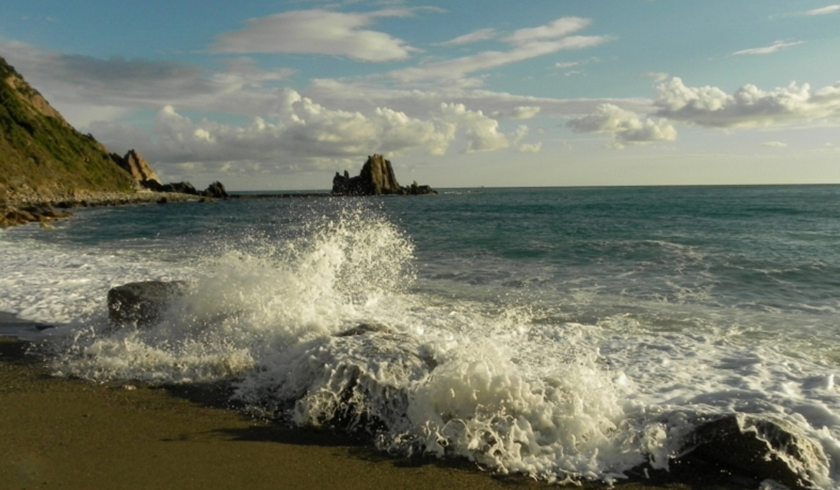 Camping Pineta Ligurien - Sestri Levante visuel 1/2 Camping Pineta Ligurien - Sestri Levante visuel 1/2